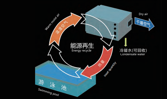 泳池除濕設備,泳池除濕機